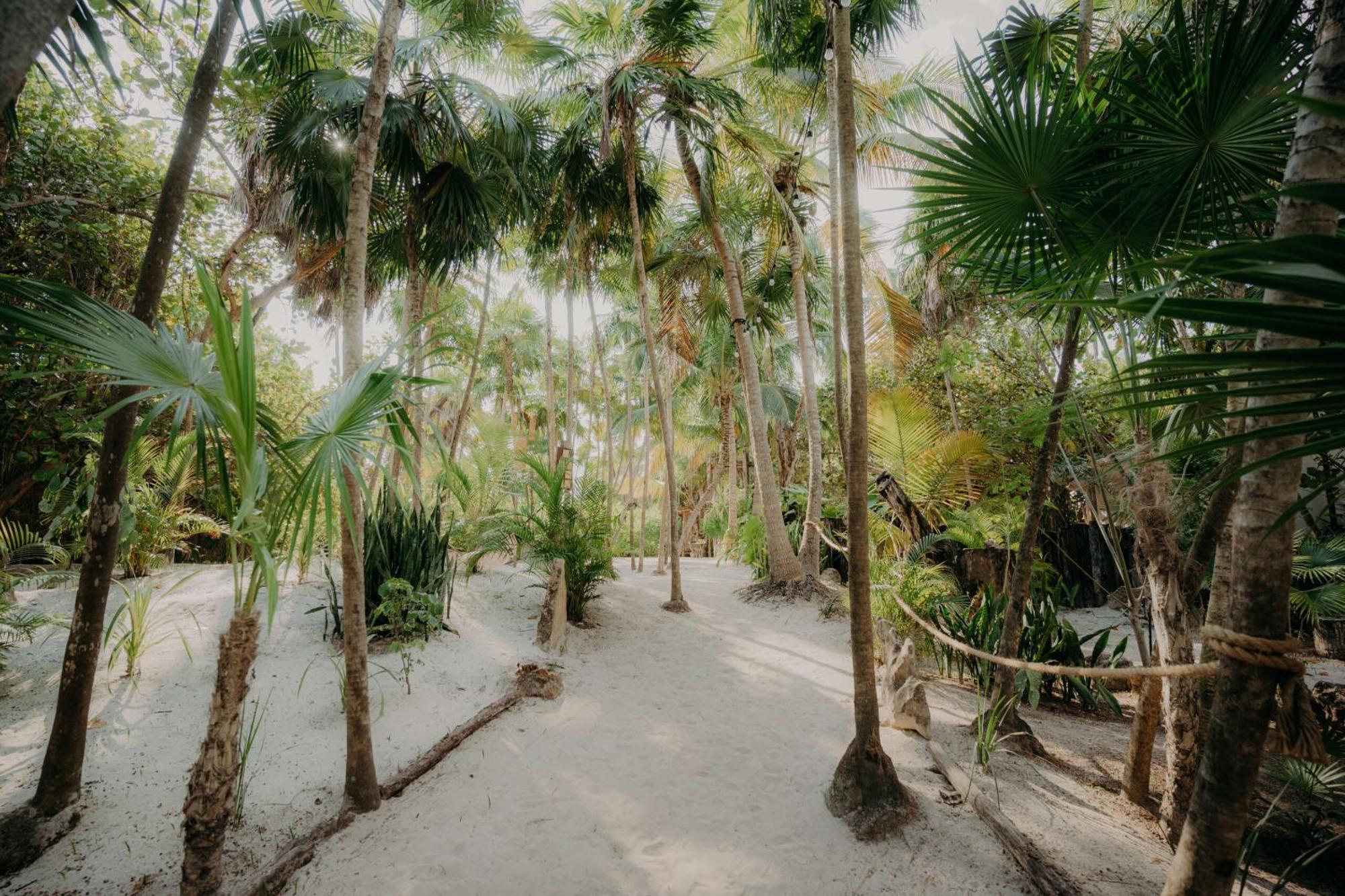 Premium With Terrace & Pool In Aldea Zama * Tulum